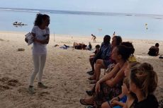 Des ateliers de reboisement à la plage de l'Hermitage.