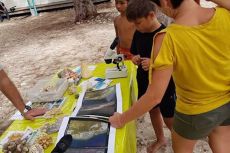 Des ateliers de reboisement à la plage de l'Hermitage.