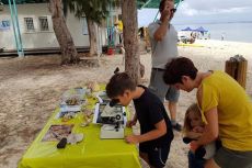 Des ateliers de reboisement à la plage de l'Hermitage.