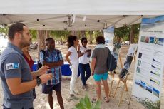 Des ateliers de reboisement à la plage de l'Hermitage.