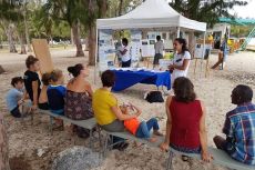 Des ateliers de reboisement à la plage de l'Hermitage.