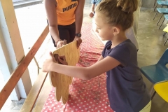 Des élèves de primaire de Savanna au chevet des pétrels