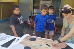 Des élèves de primaire de Savanna au chevet des pétrels