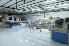 Production des masques chirurgicaux de type 2 à Tan Rouge